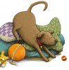 tim-hutchinson-animals-dog