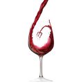wine