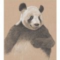 Rebecca-Solow-Animals-Panda