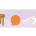 alicia-arlandis-animal-editorial-cat-table-orangel