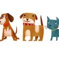 gregory-baldwin-animals-dogs-cats