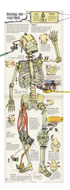 tim-hutchinson-skeleton