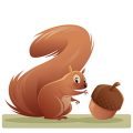 thodoris-tibilis-animals-cute-squirrel