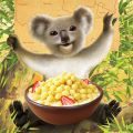 kim-neale-animals-koala