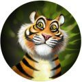 kim-neale-animals-tiger