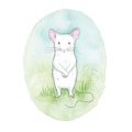 joanna-scott-animals-mouse